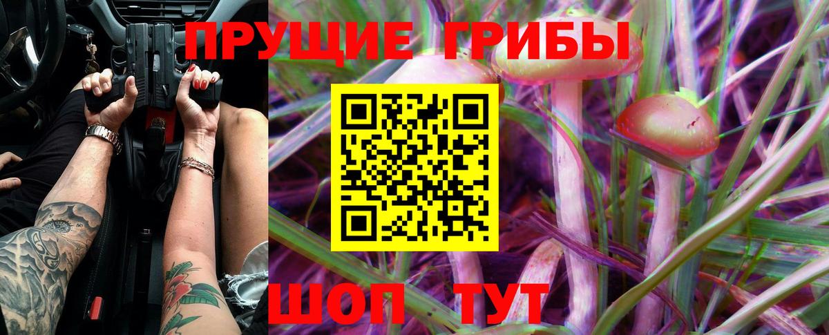 Псилоцибиновые грибы Psilocybe Качканар