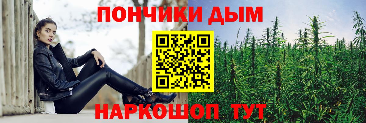Качканар  Бошки марихуана план  Бошки Шишки конопля  Вход с VPN 